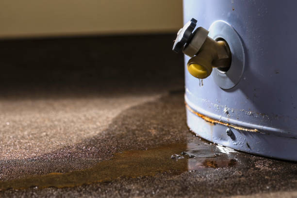 Best Water damage cleanup near me  in Larkspur, CA