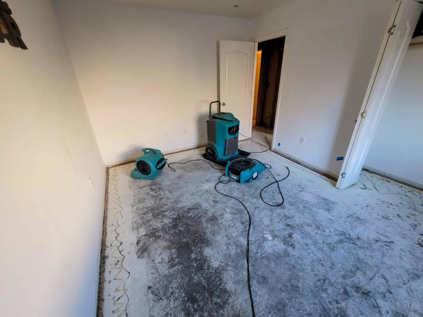 Best 24-hour water damage restoration  in Larkspur, CA