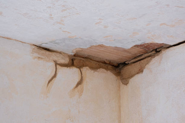 Best Water damage restoration insurance claims  in Larkspur, CA