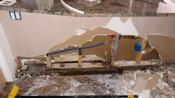 Trusted Larkspur, CA Water damage restoration Experts