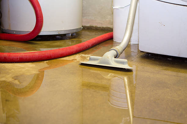Larkspur, CA Water damage restoration Company