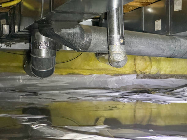 Best Basement water damage restoration  in Larkspur, CA