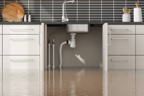 Best Water damage contractors near me  in Larkspur, CA